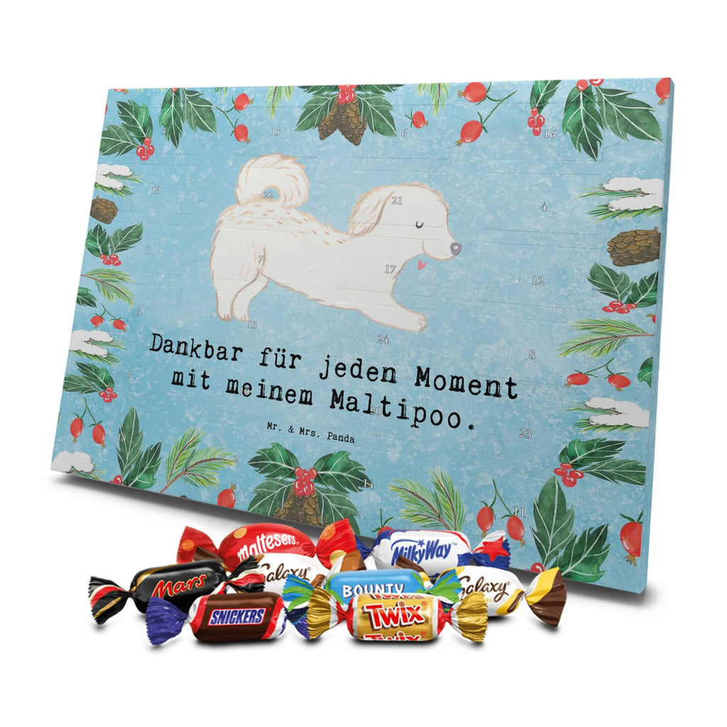 Adventskalender Maltipoo Moment weihnachtskalender schoko, adventskalender süßigkeiten, pralinen adventskalender, schokoladen kalender, Adventskalender, schoko weihnachtskalender, schokokalender, adventskalender mit schokolade, schokolade adventskalender, adventskalender mit pralinen, Weihnachtskalender Schokolade, Weihnachtskalender, adventskalender pralinen, Schokoladen Adventskalender, kalender schokolade, schoko kalender, Adventskalender Schokolade, advent kalender, Schoko Adventskalender, süßigkeiten adventskalender, adventskalender mit süßigkeiten, süßigkeiten kalender, schokoladenkalender, Welpe, Tierfreund, Hundebesitzer, Rassehund, Hunderasse, Hund, Schenken, Geschenk, Kreuzung, Maltipoo, Mischling