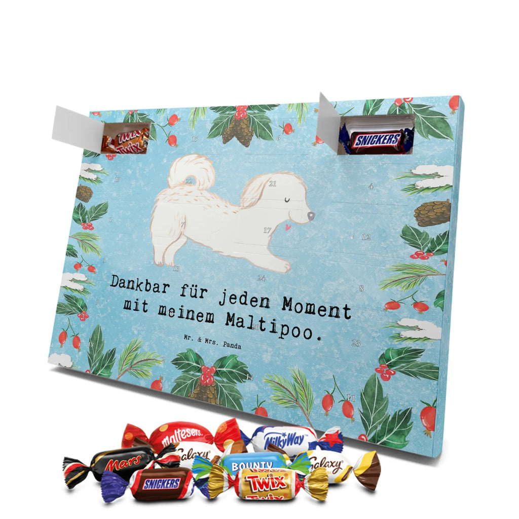 Adventskalender Maltipoo Moment weihnachtskalender schoko, adventskalender süßigkeiten, pralinen adventskalender, schokoladen kalender, Adventskalender, schoko weihnachtskalender, schokokalender, adventskalender mit schokolade, schokolade adventskalender, adventskalender mit pralinen, Weihnachtskalender Schokolade, Weihnachtskalender, adventskalender pralinen, Schokoladen Adventskalender, kalender schokolade, schoko kalender, Adventskalender Schokolade, advent kalender, Schoko Adventskalender, süßigkeiten adventskalender, adventskalender mit süßigkeiten, süßigkeiten kalender, schokoladenkalender, Welpe, Tierfreund, Hundebesitzer, Rassehund, Hunderasse, Hund, Schenken, Geschenk, Kreuzung, Maltipoo, Mischling