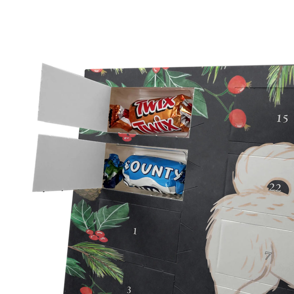 Adventskalender Maltipoo Moment weihnachtskalender schoko, adventskalender süßigkeiten, pralinen adventskalender, schokoladen kalender, Adventskalender, schoko weihnachtskalender, schokokalender, adventskalender mit schokolade, schokolade adventskalender, adventskalender mit pralinen, Weihnachtskalender Schokolade, Weihnachtskalender, adventskalender pralinen, Schokoladen Adventskalender, kalender schokolade, schoko kalender, Adventskalender Schokolade, advent kalender, Schoko Adventskalender, süßigkeiten adventskalender, adventskalender mit süßigkeiten, süßigkeiten kalender, schokoladenkalender, Welpe, Tierfreund, Hundebesitzer, Rassehund, Hunderasse, Hund, Schenken, Geschenk, Kreuzung, Maltipoo, Mischling