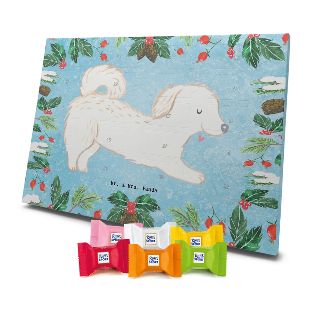Adventskalender Maltipoo Moment weihnachtskalender schoko, adventskalender süßigkeiten, pralinen adventskalender, schokoladen kalender, Adventskalender, schoko weihnachtskalender, schokokalender, adventskalender mit schokolade, schokolade adventskalender, adventskalender mit pralinen, Weihnachtskalender Schokolade, Weihnachtskalender, adventskalender pralinen, Schokoladen Adventskalender, kalender schokolade, schoko kalender, Adventskalender Schokolade, advent kalender, Schoko Adventskalender, süßigkeiten adventskalender, adventskalender mit süßigkeiten, süßigkeiten kalender, schokoladenkalender, Welpe, Tierfreund, Hundebesitzer, Rassehund, Hunderasse, Hund, Schenken, Geschenk, Kreuzung, Maltipoo, Mischling