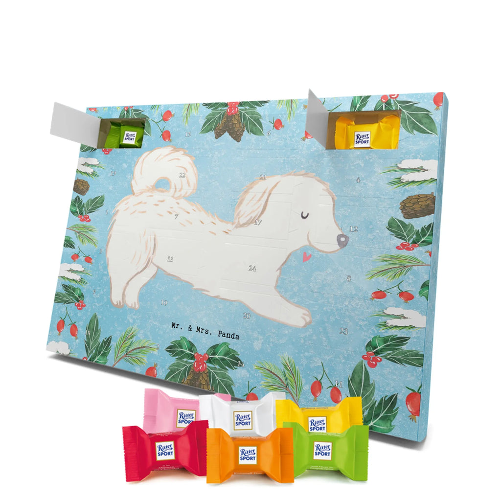 Adventskalender Maltipoo Moment weihnachtskalender schoko, adventskalender süßigkeiten, pralinen adventskalender, schokoladen kalender, Adventskalender, schoko weihnachtskalender, schokokalender, adventskalender mit schokolade, schokolade adventskalender, adventskalender mit pralinen, Weihnachtskalender Schokolade, Weihnachtskalender, adventskalender pralinen, Schokoladen Adventskalender, kalender schokolade, schoko kalender, Adventskalender Schokolade, advent kalender, Schoko Adventskalender, süßigkeiten adventskalender, adventskalender mit süßigkeiten, süßigkeiten kalender, schokoladenkalender, Welpe, Tierfreund, Hundebesitzer, Rassehund, Hunderasse, Hund, Schenken, Geschenk, Kreuzung, Maltipoo, Mischling