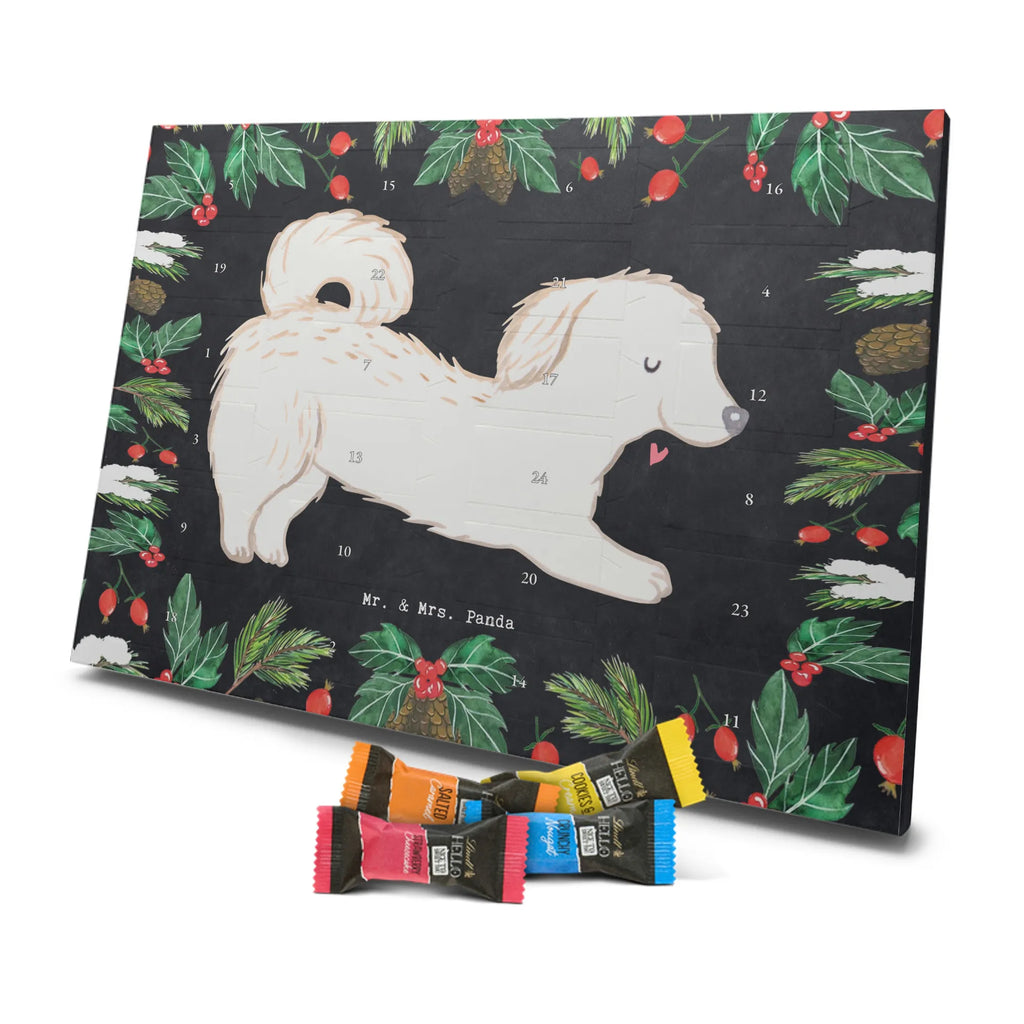 Adventskalender Maltipoo Moment weihnachtskalender schoko, adventskalender süßigkeiten, pralinen adventskalender, schokoladen kalender, Adventskalender, schoko weihnachtskalender, schokokalender, adventskalender mit schokolade, schokolade adventskalender, adventskalender mit pralinen, Weihnachtskalender Schokolade, Weihnachtskalender, adventskalender pralinen, Schokoladen Adventskalender, kalender schokolade, schoko kalender, Adventskalender Schokolade, advent kalender, Schoko Adventskalender, süßigkeiten adventskalender, adventskalender mit süßigkeiten, süßigkeiten kalender, schokoladenkalender, Welpe, Tierfreund, Hundebesitzer, Rassehund, Hunderasse, Hund, Schenken, Geschenk, Kreuzung, Maltipoo, Mischling