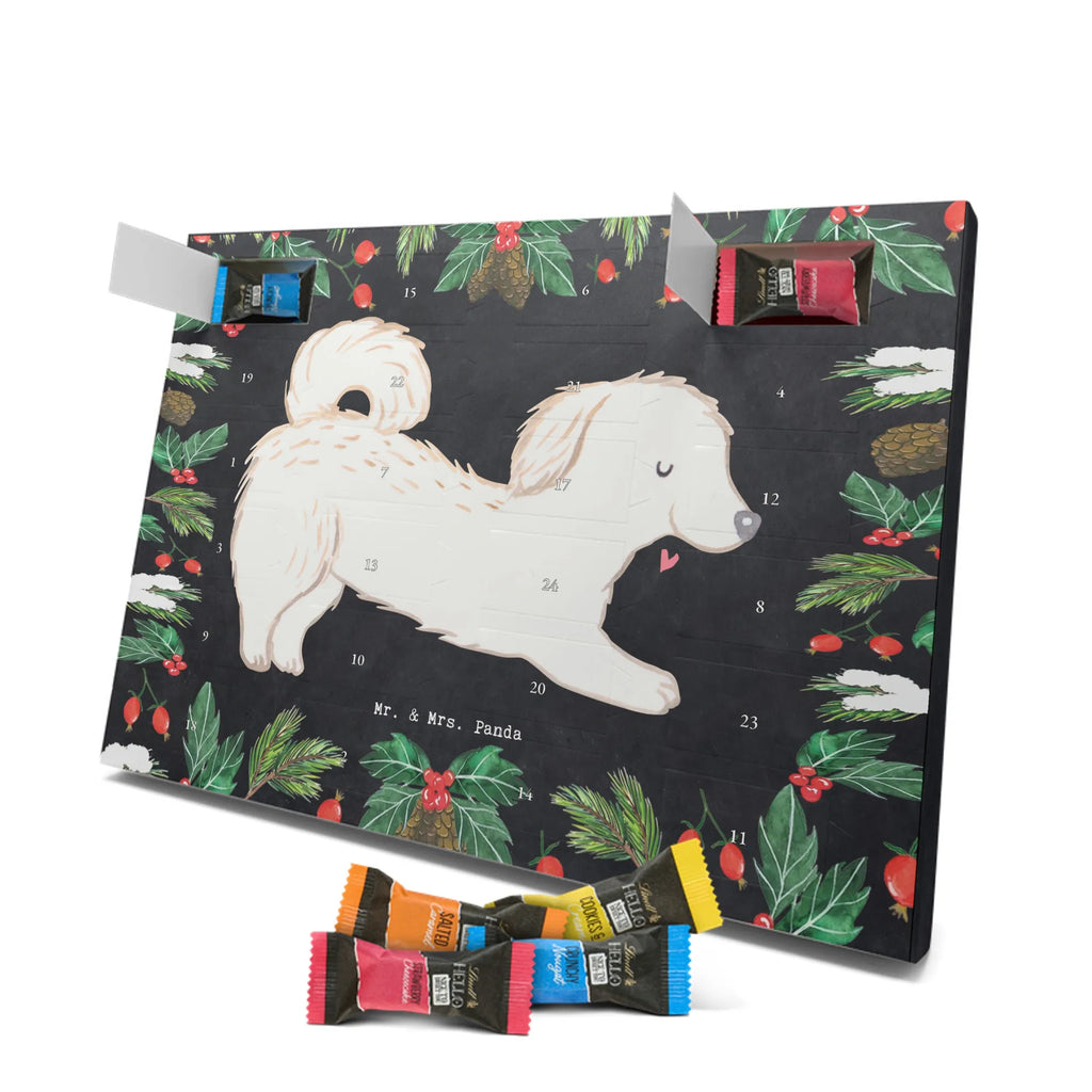 Adventskalender Maltipoo Moment weihnachtskalender schoko, adventskalender süßigkeiten, pralinen adventskalender, schokoladen kalender, Adventskalender, schoko weihnachtskalender, schokokalender, adventskalender mit schokolade, schokolade adventskalender, adventskalender mit pralinen, Weihnachtskalender Schokolade, Weihnachtskalender, adventskalender pralinen, Schokoladen Adventskalender, kalender schokolade, schoko kalender, Adventskalender Schokolade, advent kalender, Schoko Adventskalender, süßigkeiten adventskalender, adventskalender mit süßigkeiten, süßigkeiten kalender, schokoladenkalender, Welpe, Tierfreund, Hundebesitzer, Rassehund, Hunderasse, Hund, Schenken, Geschenk, Kreuzung, Maltipoo, Mischling
