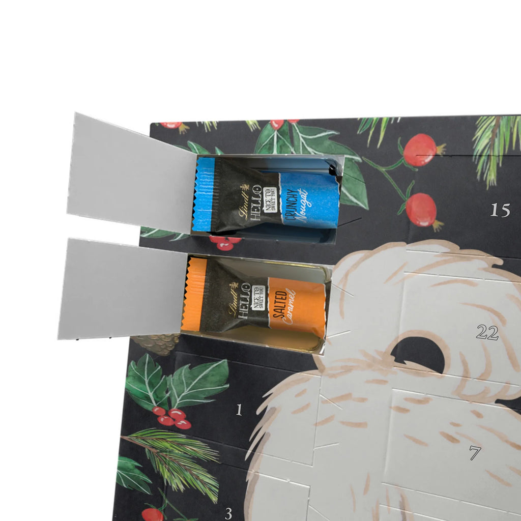 Adventskalender Maltipoo Moment weihnachtskalender schoko, adventskalender süßigkeiten, pralinen adventskalender, schokoladen kalender, Adventskalender, schoko weihnachtskalender, schokokalender, adventskalender mit schokolade, schokolade adventskalender, adventskalender mit pralinen, Weihnachtskalender Schokolade, Weihnachtskalender, adventskalender pralinen, Schokoladen Adventskalender, kalender schokolade, schoko kalender, Adventskalender Schokolade, advent kalender, Schoko Adventskalender, süßigkeiten adventskalender, adventskalender mit süßigkeiten, süßigkeiten kalender, schokoladenkalender, Welpe, Tierfreund, Hundebesitzer, Rassehund, Hunderasse, Hund, Schenken, Geschenk, Kreuzung, Maltipoo, Mischling