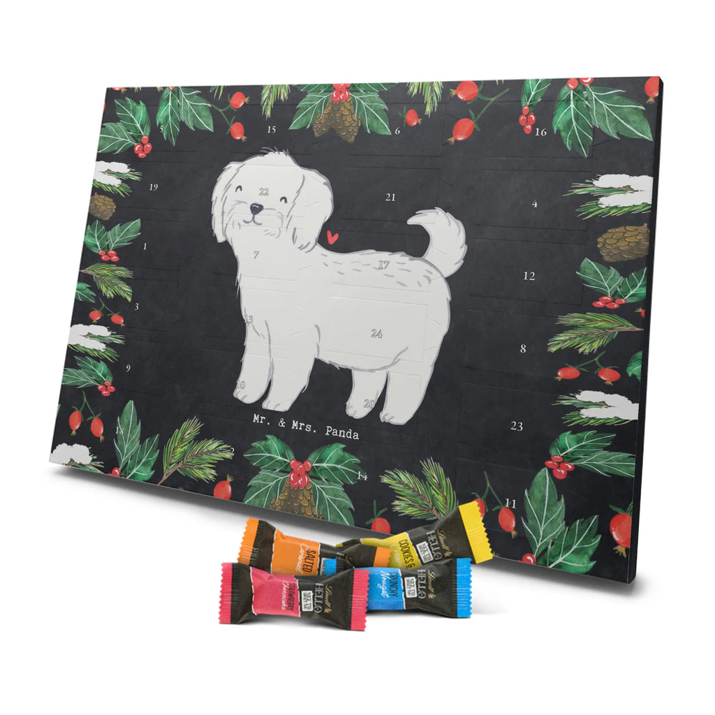  Maltańczyk Chwila szczeniak, miłośnik zwierząt, właściciel psa, pies rasowy, rasa psa, Pies, prezent, dawanie