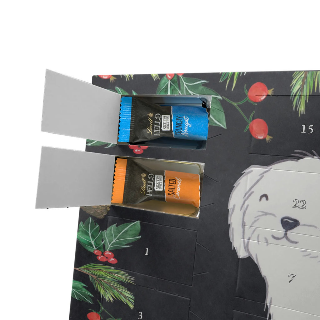  Maltańczyk Chwila szczeniak, miłośnik zwierząt, właściciel psa, pies rasowy, rasa psa, Pies, prezent, dawanie