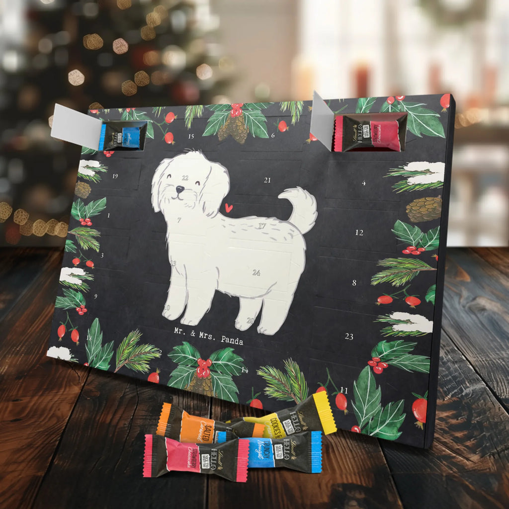  Maltańczyk Chwila szczeniak, miłośnik zwierząt, właściciel psa, pies rasowy, rasa psa, Pies, prezent, dawanie