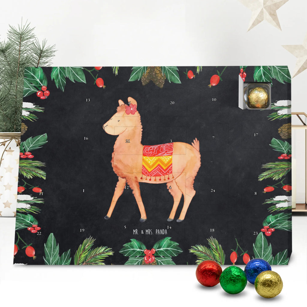  alpaka Dumny Alpaka, Lama