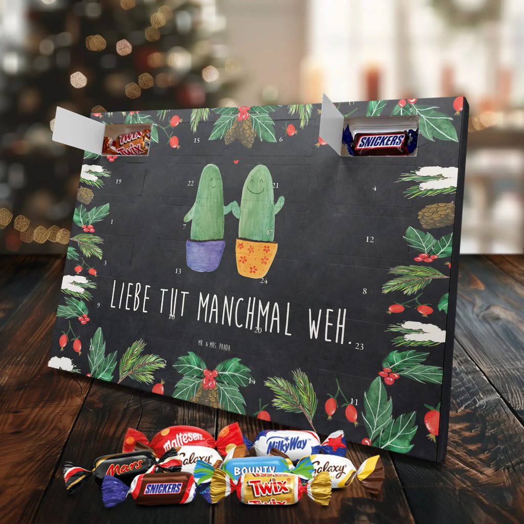 Chocolate advent calendar cactus Love cactus, cactuses, plants, small green cactus, cactus plant, couple, friendship, reconciliation, cactus love, proof of love, quarrel, love message, separation, wedding