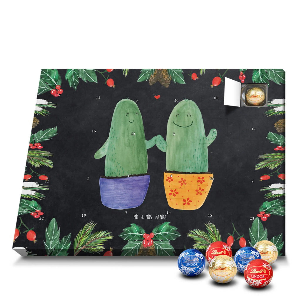 Chocolate advent calendar cactus Love cactus, cactuses, plants, small green cactus, cactus plant, couple, friendship, reconciliation, cactus love, proof of love, quarrel, love message, separation, wedding