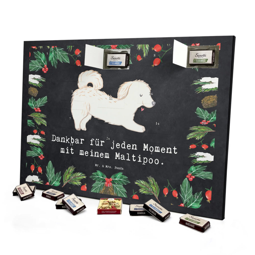 Adventskalender Maltipoo Moment weihnachtskalender schoko, adventskalender süßigkeiten, pralinen adventskalender, schokoladen kalender, Adventskalender, schoko weihnachtskalender, schokokalender, adventskalender mit schokolade, schokolade adventskalender, adventskalender mit pralinen, Weihnachtskalender Schokolade, Weihnachtskalender, adventskalender pralinen, Schokoladen Adventskalender, kalender schokolade, schoko kalender, Adventskalender Schokolade, advent kalender, Schoko Adventskalender, süßigkeiten adventskalender, adventskalender mit süßigkeiten, süßigkeiten kalender, schokoladenkalender, Welpe, Tierfreund, Hundebesitzer, Rassehund, Hunderasse, Hund, Schenken, Geschenk, Kreuzung, Maltipoo, Mischling