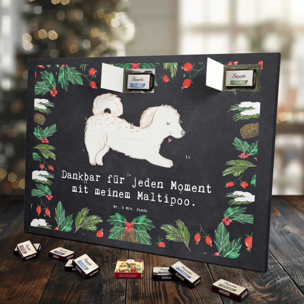 Adventskalender Maltipoo Moment weihnachtskalender schoko, adventskalender süßigkeiten, pralinen adventskalender, schokoladen kalender, Adventskalender, schoko weihnachtskalender, schokokalender, adventskalender mit schokolade, schokolade adventskalender, adventskalender mit pralinen, Weihnachtskalender Schokolade, Weihnachtskalender, adventskalender pralinen, Schokoladen Adventskalender, kalender schokolade, schoko kalender, Adventskalender Schokolade, advent kalender, Schoko Adventskalender, süßigkeiten adventskalender, adventskalender mit süßigkeiten, süßigkeiten kalender, schokoladenkalender, Welpe, Tierfreund, Hundebesitzer, Rassehund, Hunderasse, Hund, Schenken, Geschenk, Kreuzung, Maltipoo, Mischling
