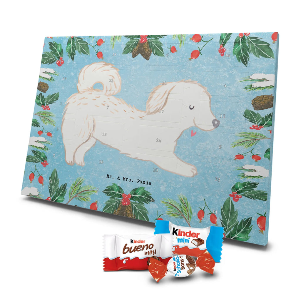 Adventskalender Maltipoo Moment weihnachtskalender schoko, adventskalender süßigkeiten, pralinen adventskalender, schokoladen kalender, Adventskalender, schoko weihnachtskalender, schokokalender, adventskalender mit schokolade, schokolade adventskalender, adventskalender mit pralinen, Weihnachtskalender Schokolade, Weihnachtskalender, adventskalender pralinen, Schokoladen Adventskalender, kalender schokolade, schoko kalender, Adventskalender Schokolade, advent kalender, Schoko Adventskalender, süßigkeiten adventskalender, adventskalender mit süßigkeiten, süßigkeiten kalender, schokoladenkalender, Welpe, Tierfreund, Hundebesitzer, Rassehund, Hunderasse, Hund, Schenken, Geschenk, Kreuzung, Maltipoo, Mischling