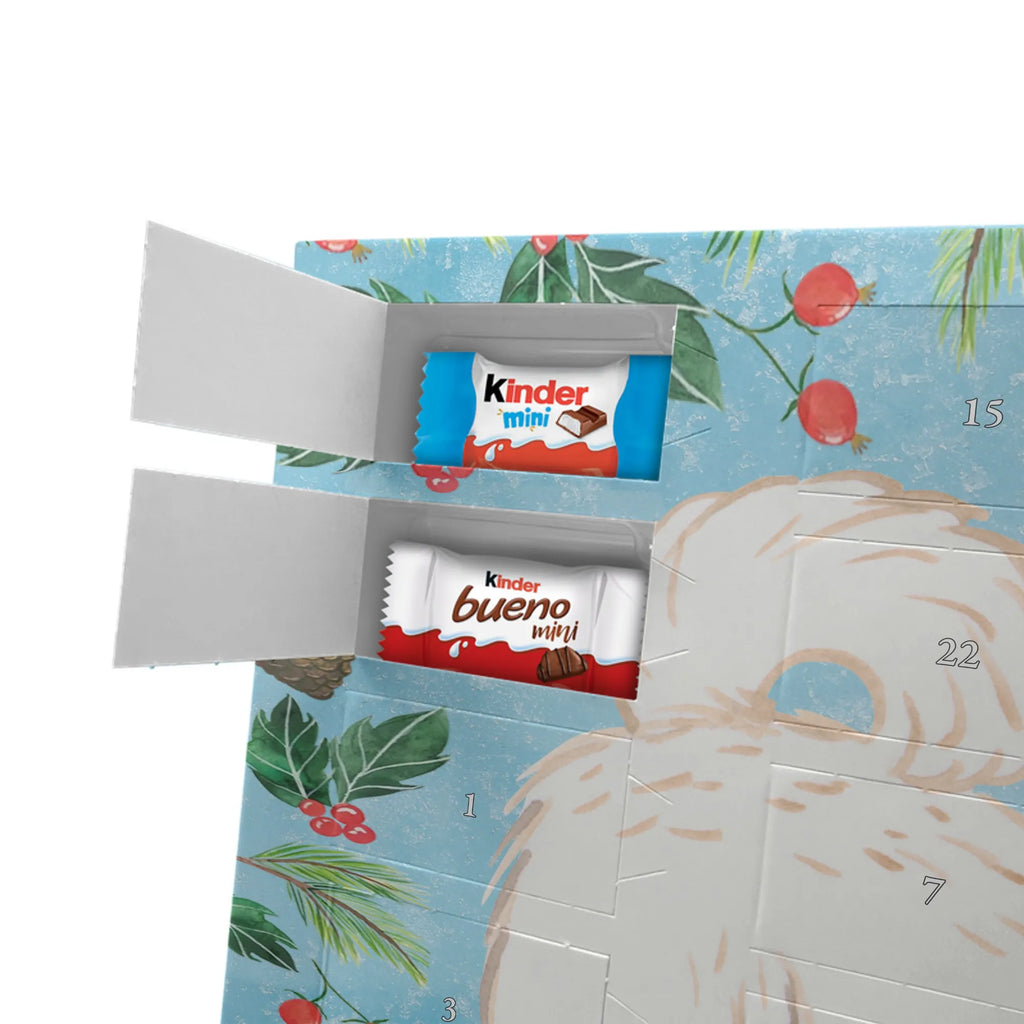 Adventskalender Maltipoo Moment weihnachtskalender schoko, adventskalender süßigkeiten, pralinen adventskalender, schokoladen kalender, Adventskalender, schoko weihnachtskalender, schokokalender, adventskalender mit schokolade, schokolade adventskalender, adventskalender mit pralinen, Weihnachtskalender Schokolade, Weihnachtskalender, adventskalender pralinen, Schokoladen Adventskalender, kalender schokolade, schoko kalender, Adventskalender Schokolade, advent kalender, Schoko Adventskalender, süßigkeiten adventskalender, adventskalender mit süßigkeiten, süßigkeiten kalender, schokoladenkalender, Welpe, Tierfreund, Hundebesitzer, Rassehund, Hunderasse, Hund, Schenken, Geschenk, Kreuzung, Maltipoo, Mischling