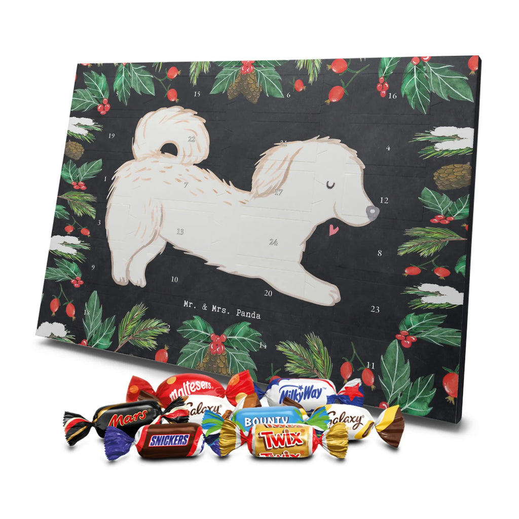 Adventskalender Maltipoo Moment weihnachtskalender schoko, adventskalender süßigkeiten, pralinen adventskalender, schokoladen kalender, Adventskalender, schoko weihnachtskalender, schokokalender, adventskalender mit schokolade, schokolade adventskalender, adventskalender mit pralinen, Weihnachtskalender Schokolade, Weihnachtskalender, adventskalender pralinen, Schokoladen Adventskalender, kalender schokolade, schoko kalender, Adventskalender Schokolade, advent kalender, Schoko Adventskalender, süßigkeiten adventskalender, adventskalender mit süßigkeiten, süßigkeiten kalender, schokoladenkalender, Welpe, Tierfreund, Hundebesitzer, Rassehund, Hunderasse, Hund, Schenken, Geschenk, Kreuzung, Maltipoo, Mischling