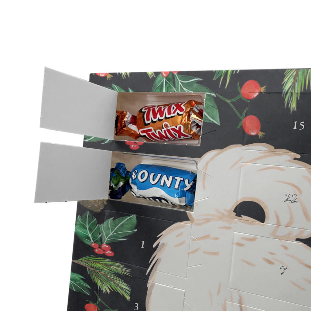 Adventskalender Maltipoo Moment weihnachtskalender schoko, adventskalender süßigkeiten, pralinen adventskalender, schokoladen kalender, Adventskalender, schoko weihnachtskalender, schokokalender, adventskalender mit schokolade, schokolade adventskalender, adventskalender mit pralinen, Weihnachtskalender Schokolade, Weihnachtskalender, adventskalender pralinen, Schokoladen Adventskalender, kalender schokolade, schoko kalender, Adventskalender Schokolade, advent kalender, Schoko Adventskalender, süßigkeiten adventskalender, adventskalender mit süßigkeiten, süßigkeiten kalender, schokoladenkalender, Welpe, Tierfreund, Hundebesitzer, Rassehund, Hunderasse, Hund, Schenken, Geschenk, Kreuzung, Maltipoo, Mischling