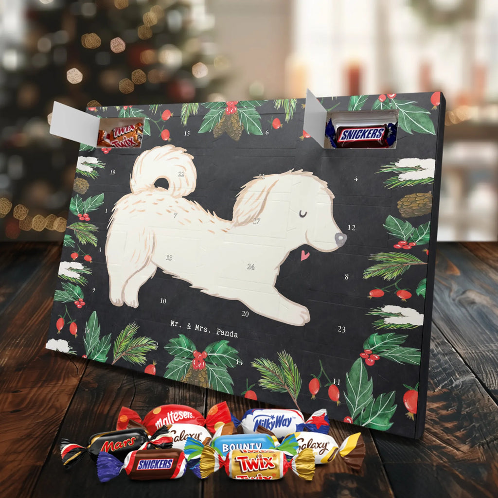 Adventskalender Maltipoo Moment weihnachtskalender schoko, adventskalender süßigkeiten, pralinen adventskalender, schokoladen kalender, Adventskalender, schoko weihnachtskalender, schokokalender, adventskalender mit schokolade, schokolade adventskalender, adventskalender mit pralinen, Weihnachtskalender Schokolade, Weihnachtskalender, adventskalender pralinen, Schokoladen Adventskalender, kalender schokolade, schoko kalender, Adventskalender Schokolade, advent kalender, Schoko Adventskalender, süßigkeiten adventskalender, adventskalender mit süßigkeiten, süßigkeiten kalender, schokoladenkalender, Welpe, Tierfreund, Hundebesitzer, Rassehund, Hunderasse, Hund, Schenken, Geschenk, Kreuzung, Maltipoo, Mischling