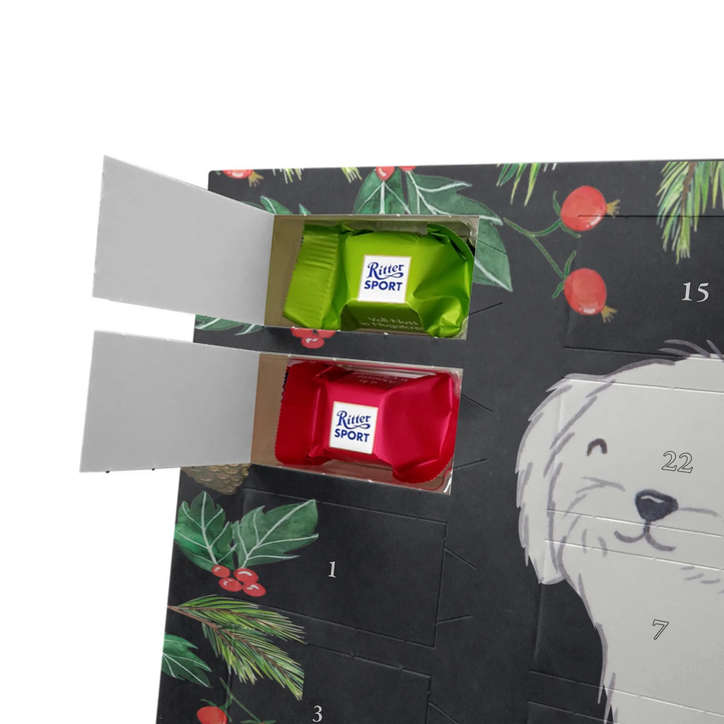  Maltańczyk Chwila szczeniak, miłośnik zwierząt, właściciel psa, pies rasowy, rasa psa, Pies, prezent, dawanie