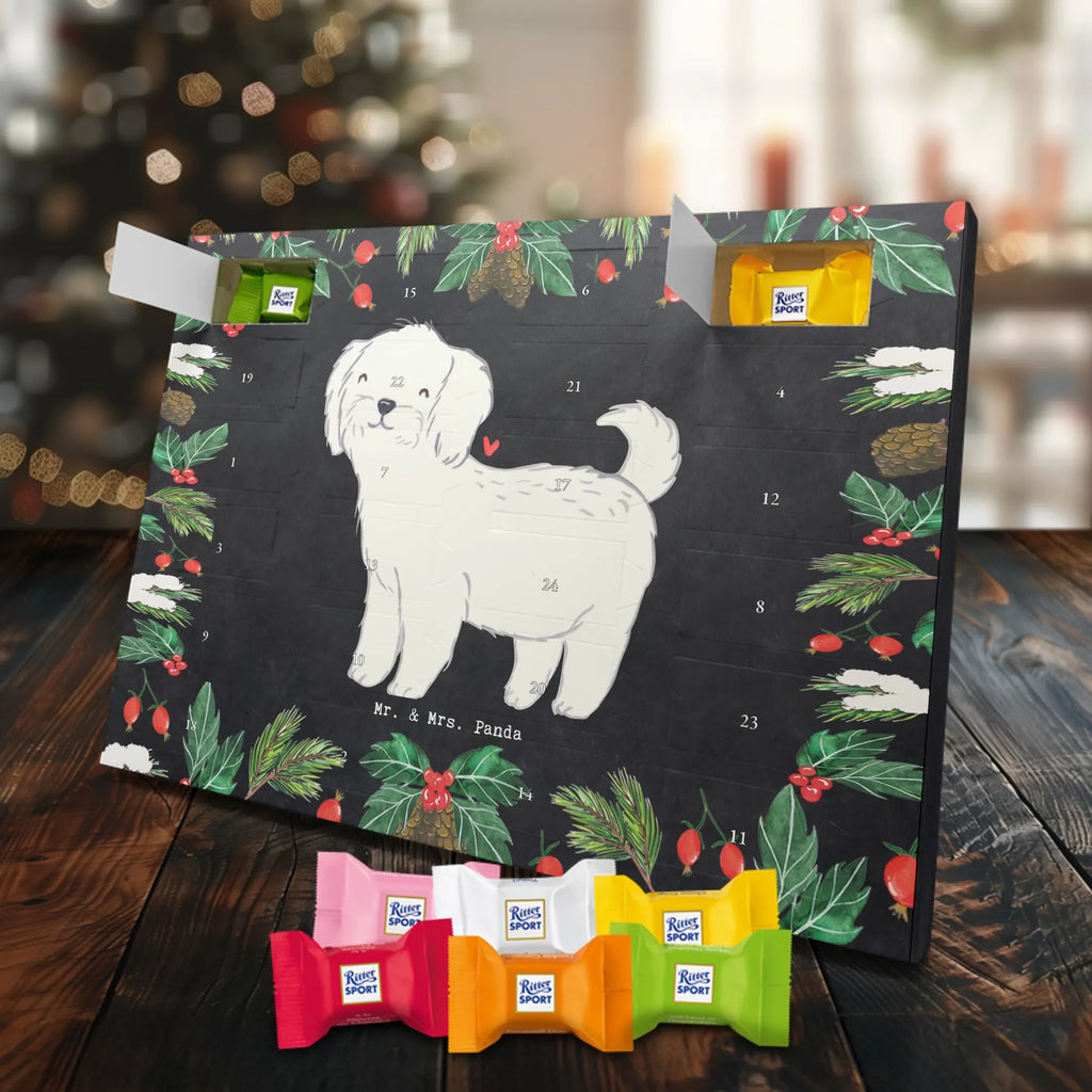  Maltańczyk Chwila szczeniak, miłośnik zwierząt, właściciel psa, pies rasowy, rasa psa, Pies, prezent, dawanie