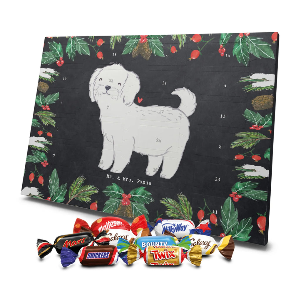  Maltańczyk Chwila szczeniak, miłośnik zwierząt, właściciel psa, pies rasowy, rasa psa, Pies, prezent, dawanie