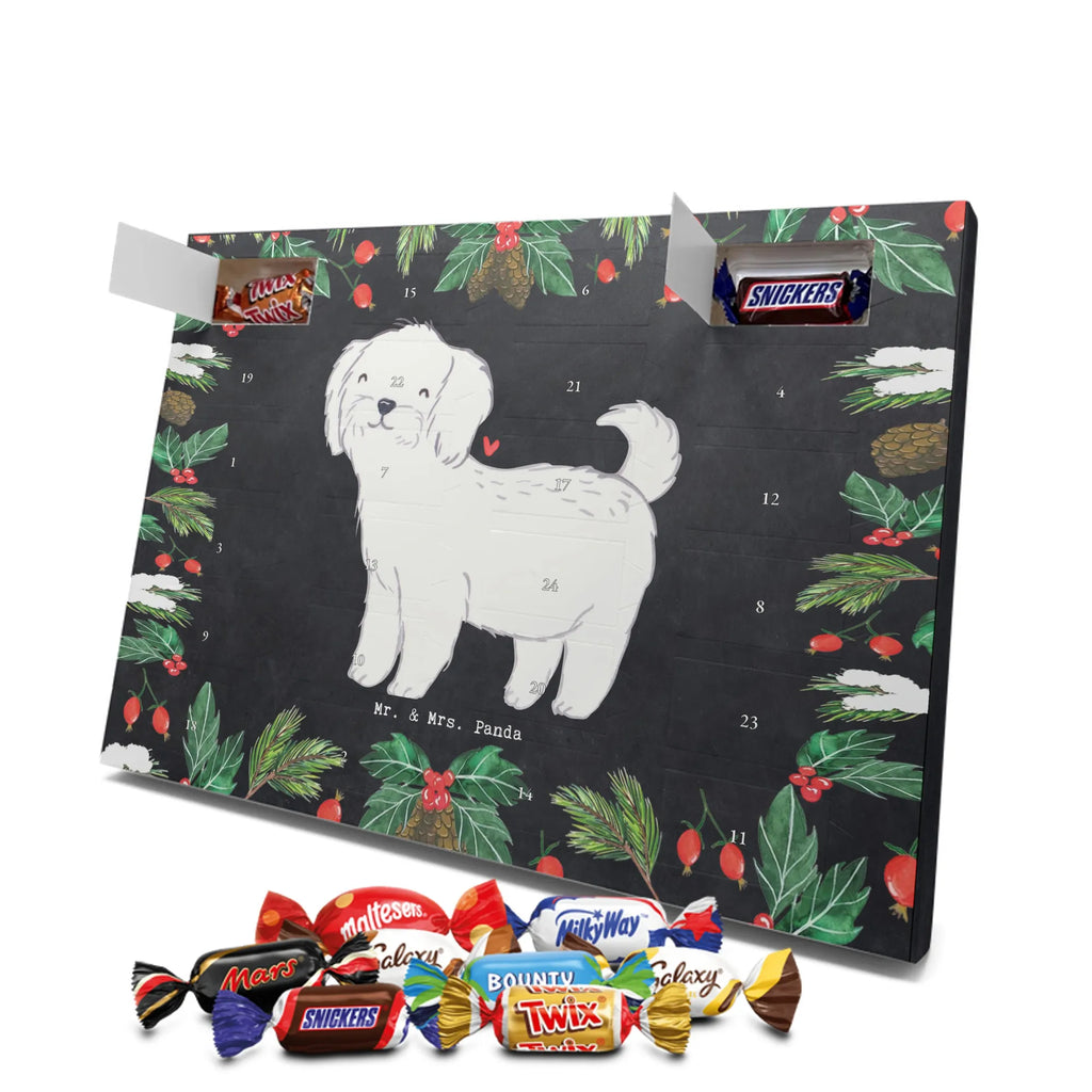  Maltańczyk Chwila szczeniak, miłośnik zwierząt, właściciel psa, pies rasowy, rasa psa, Pies, prezent, dawanie