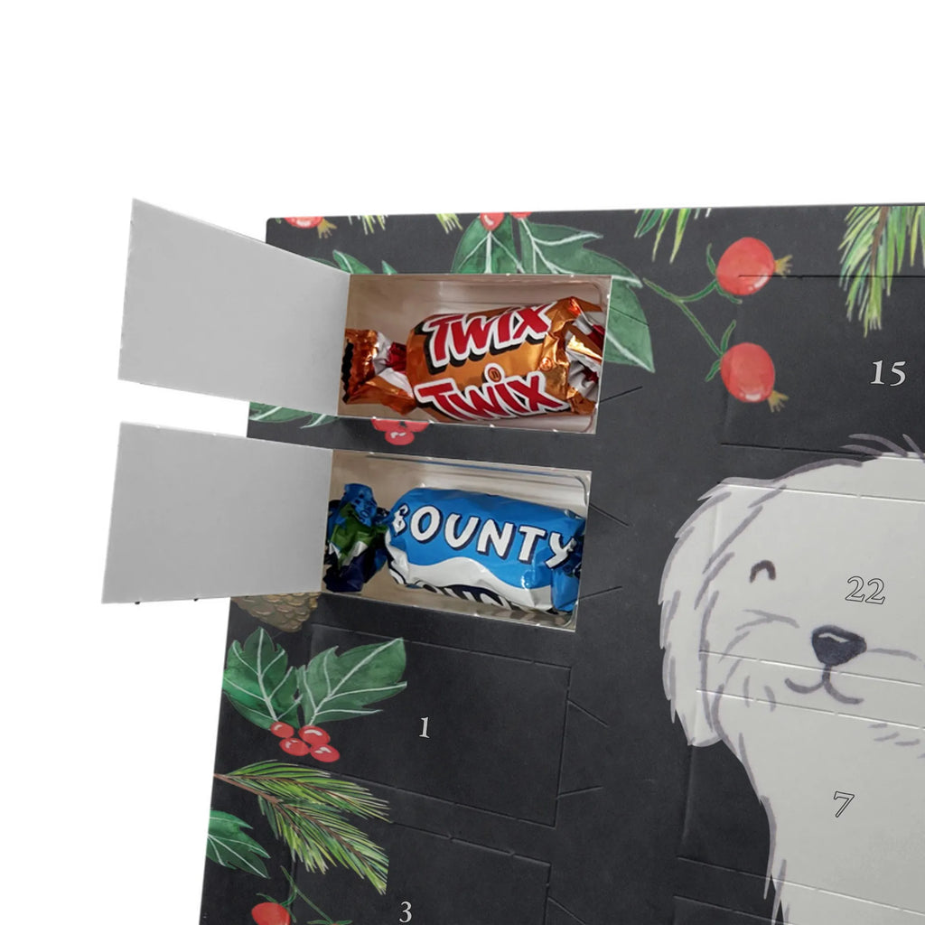  Maltańczyk Chwila szczeniak, miłośnik zwierząt, właściciel psa, pies rasowy, rasa psa, Pies, prezent, dawanie