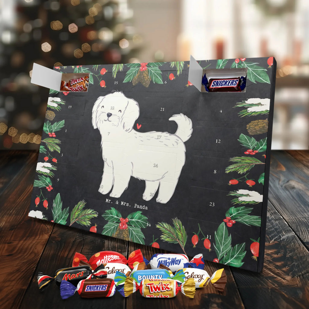  Maltańczyk Chwila szczeniak, miłośnik zwierząt, właściciel psa, pies rasowy, rasa psa, Pies, prezent, dawanie