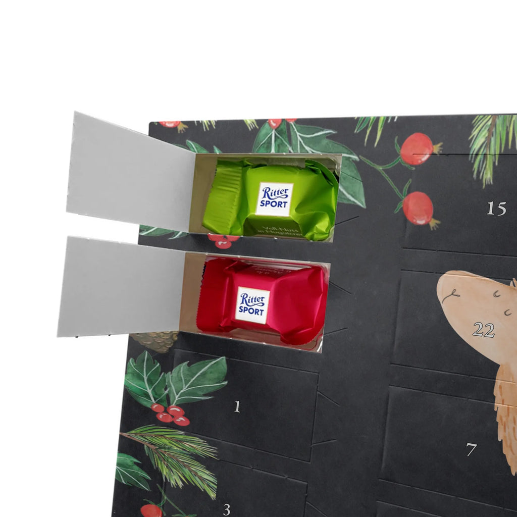 Chocolate advent calendar lama rainbow Llama, alpaca, trendy animal, Freedom, Cloud country, Outsider, School, Rainbow, Self-employed