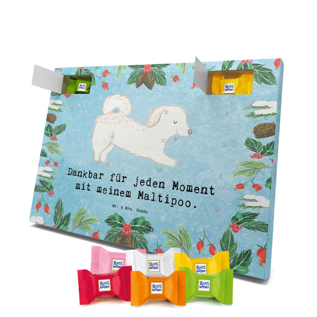 Adventskalender Maltipoo Moment weihnachtskalender schoko, adventskalender süßigkeiten, pralinen adventskalender, schokoladen kalender, Adventskalender, schoko weihnachtskalender, schokokalender, adventskalender mit schokolade, schokolade adventskalender, adventskalender mit pralinen, Weihnachtskalender Schokolade, Weihnachtskalender, adventskalender pralinen, Schokoladen Adventskalender, kalender schokolade, schoko kalender, Adventskalender Schokolade, advent kalender, Schoko Adventskalender, süßigkeiten adventskalender, adventskalender mit süßigkeiten, süßigkeiten kalender, schokoladenkalender, Welpe, Tierfreund, Hundebesitzer, Rassehund, Hunderasse, Hund, Schenken, Geschenk, Kreuzung, Maltipoo, Mischling