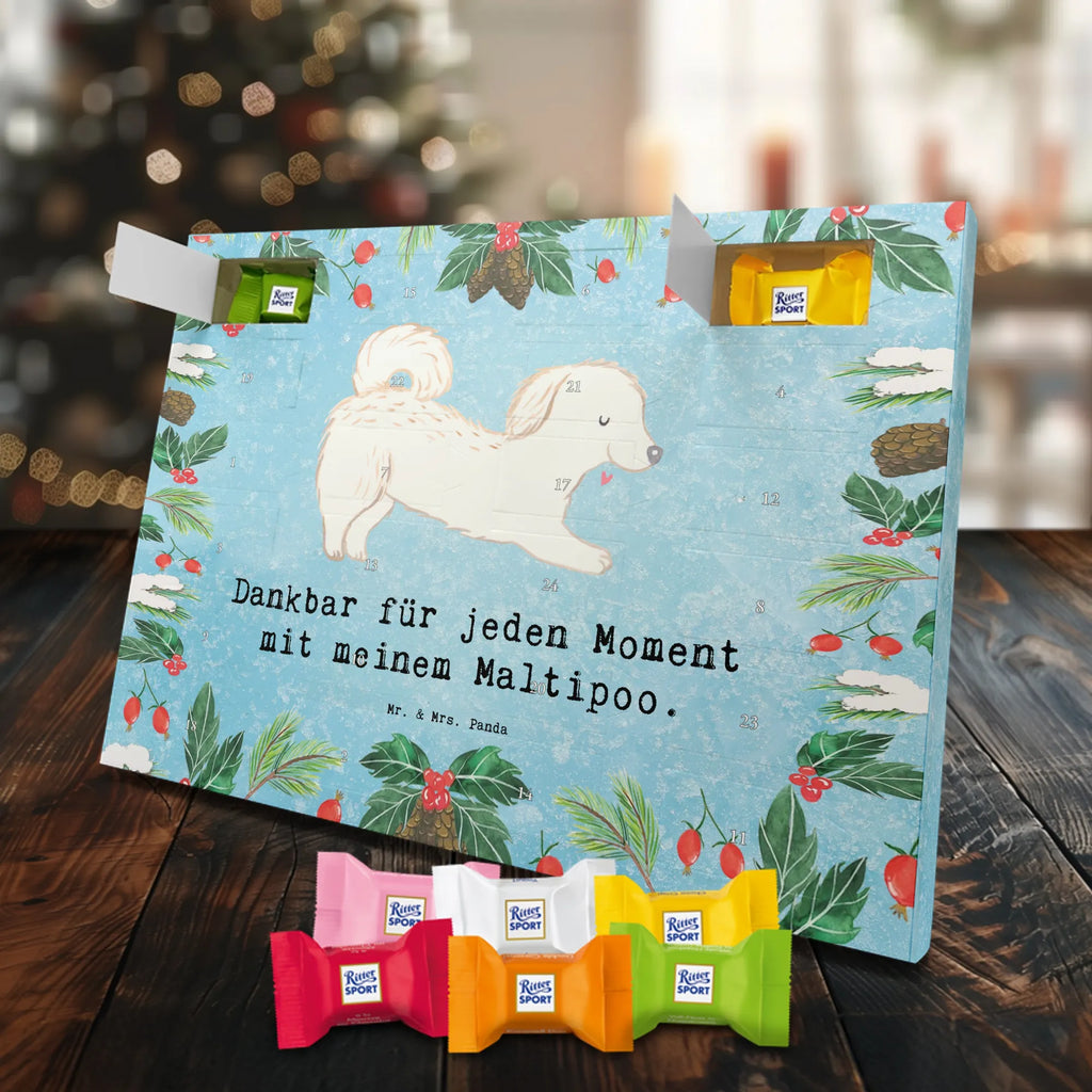 Adventskalender Maltipoo Moment weihnachtskalender schoko, adventskalender süßigkeiten, pralinen adventskalender, schokoladen kalender, Adventskalender, schoko weihnachtskalender, schokokalender, adventskalender mit schokolade, schokolade adventskalender, adventskalender mit pralinen, Weihnachtskalender Schokolade, Weihnachtskalender, adventskalender pralinen, Schokoladen Adventskalender, kalender schokolade, schoko kalender, Adventskalender Schokolade, advent kalender, Schoko Adventskalender, süßigkeiten adventskalender, adventskalender mit süßigkeiten, süßigkeiten kalender, schokoladenkalender, Welpe, Tierfreund, Hundebesitzer, Rassehund, Hunderasse, Hund, Schenken, Geschenk, Kreuzung, Maltipoo, Mischling