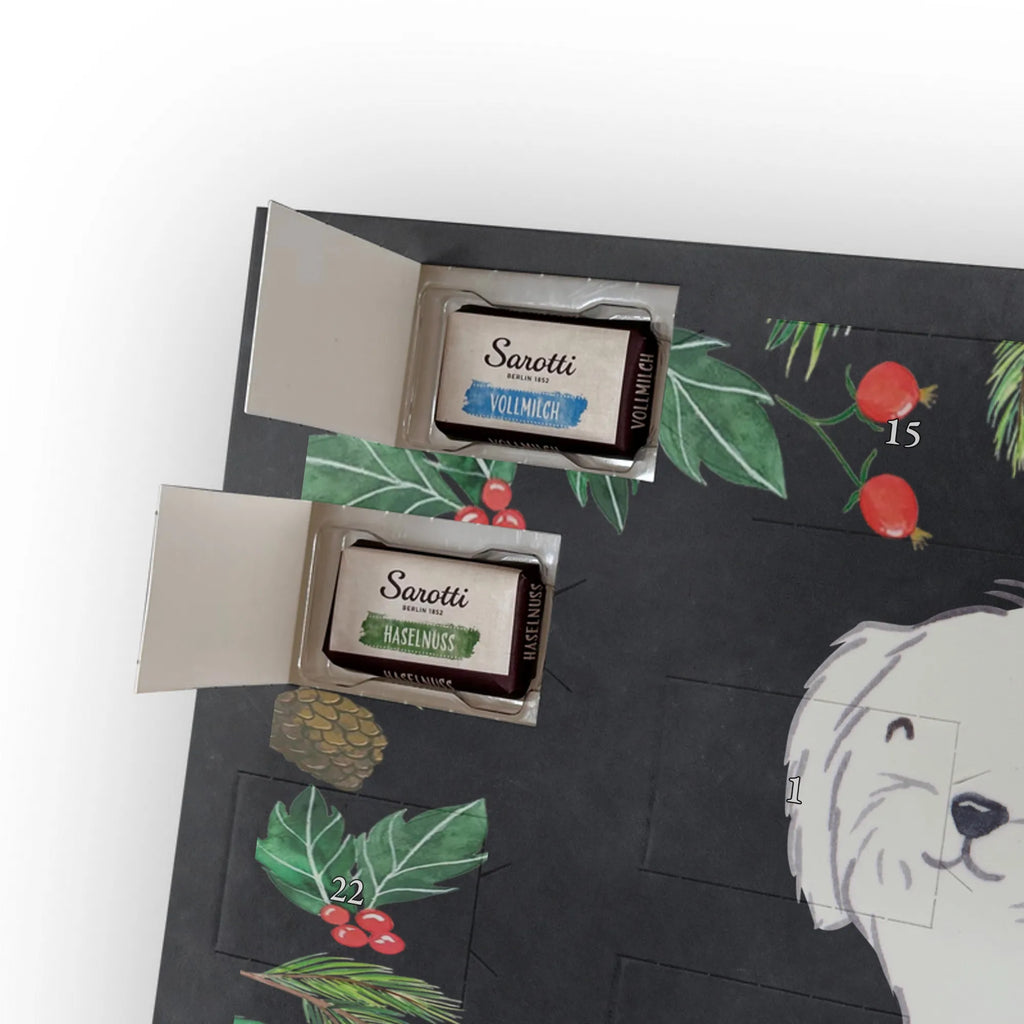  Maltańczyk Chwila szczeniak, miłośnik zwierząt, właściciel psa, pies rasowy, rasa psa, Pies, prezent, dawanie