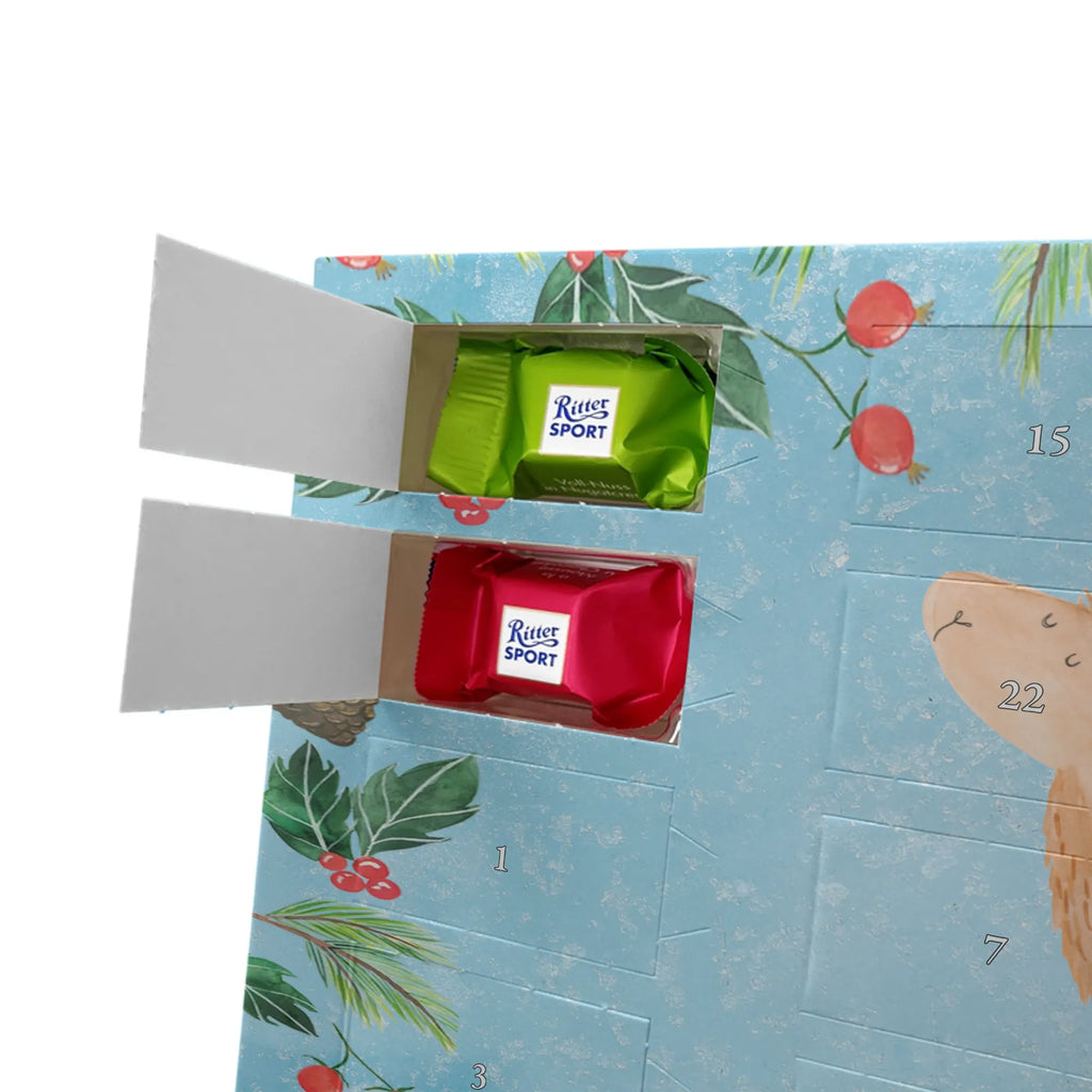 Chocolate advent calendar lama rainbow Llama, alpaca, trendy animal, Freedom, Cloud country, Outsider, School, Rainbow, Self-employed