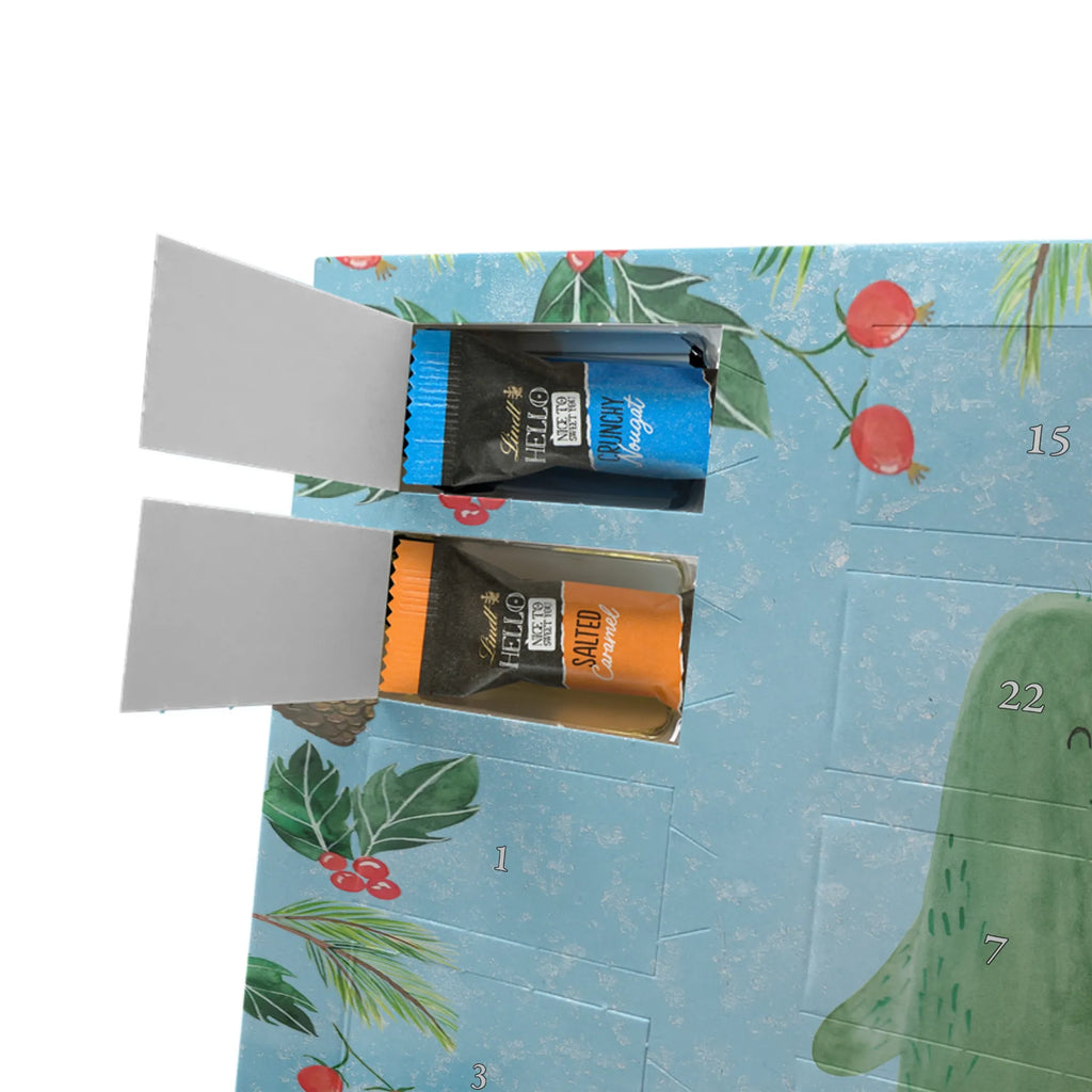 Chocolate advent calendar cactus Love cactus, cactuses, plants, small green cactus, cactus plant, couple, friendship, reconciliation, cactus love, proof of love, quarrel, love message, separation, wedding