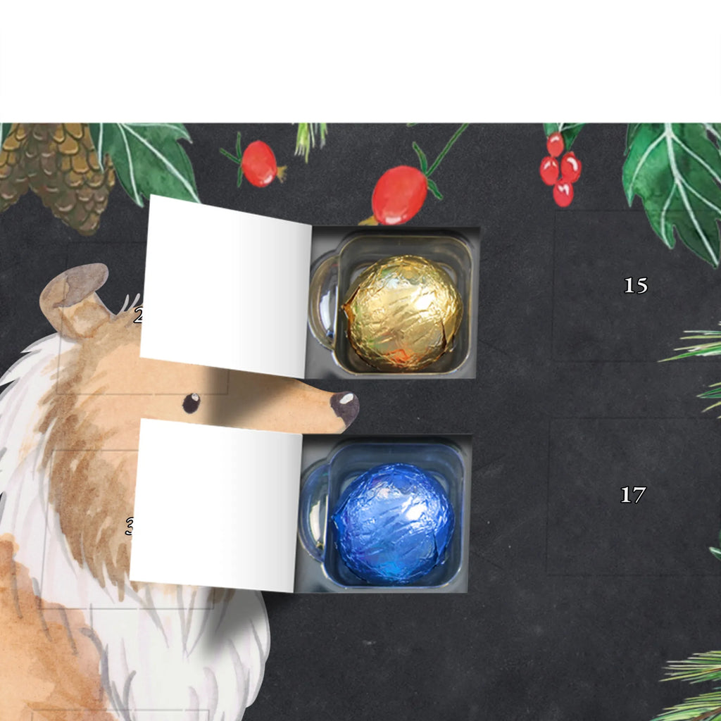 Adventskalender Langhaar Collie Moment duftkerzenkalender, raumduft adventskalender, adventskalender duftkerzen, Weihnachtskalender, adventskerzen kalender, duft kalender, Adventskalender, Kerzen Adventskalender, adventskalender kerzen, duft adventskalender, weihnachts adventskalender, advent kalender, adventskalender mit duftkerzen, Duftkerzen Adventskalender, aroma adventskalender, adventskalender mit kerzen, kerzenkalender, Hund, Welpe, Tierfreund, Hundebesitzer, Rassehund, Hunderasse, Schenken, Geschenk, Langhaar Collie, Britischer Hütehund