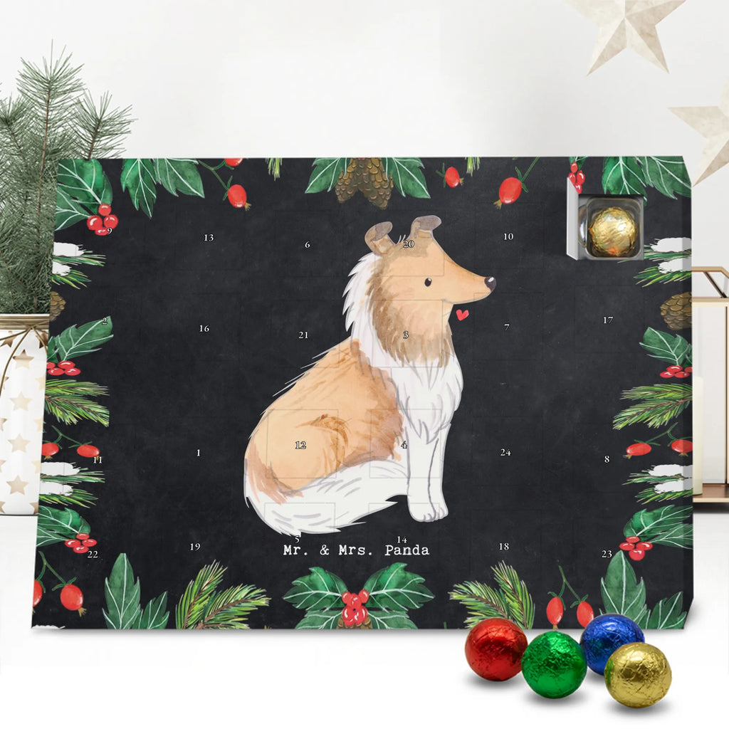 Adventskalender Langhaar Collie Moment duftkerzenkalender, raumduft adventskalender, adventskalender duftkerzen, Weihnachtskalender, adventskerzen kalender, duft kalender, Adventskalender, Kerzen Adventskalender, adventskalender kerzen, duft adventskalender, weihnachts adventskalender, advent kalender, adventskalender mit duftkerzen, Duftkerzen Adventskalender, aroma adventskalender, adventskalender mit kerzen, kerzenkalender, Hund, Welpe, Tierfreund, Hundebesitzer, Rassehund, Hunderasse, Schenken, Geschenk, Langhaar Collie, Britischer Hütehund