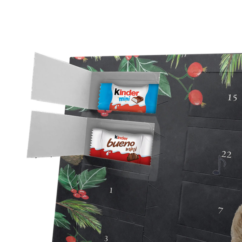 Chocolate advent calendar bear guitar teddy bear, cuddly toy