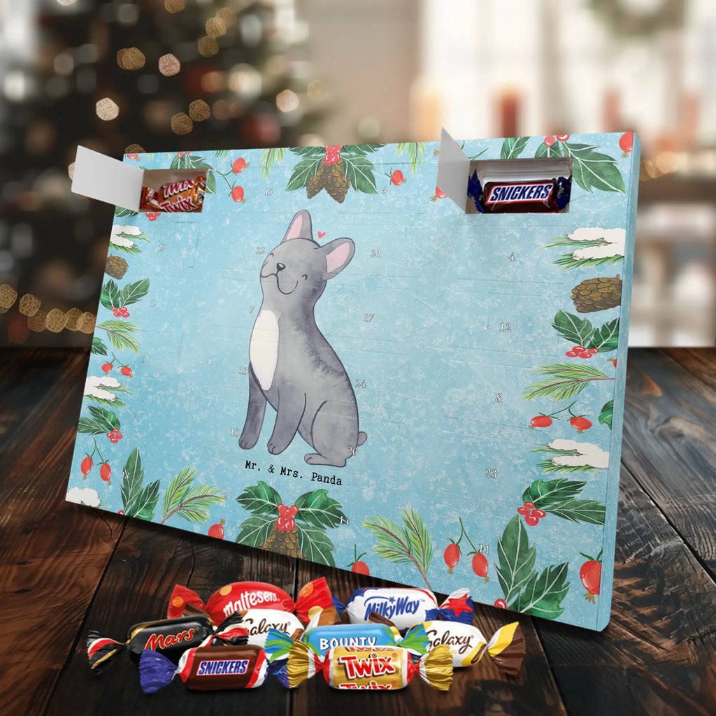 Schokoladen Adventskalender Französische Bulldogge Moment schokokalender, adventskalender mit pralinen, Adventskalender Schokolade, adventskalender pralinen, schoko kalender, Schoko Adventskalender, weihnachtskalender schoko, pralinen adventskalender, adventskalender mit süßigkeiten, adventskalender süßigkeiten, adventskalender mit schokolade, Schokoladen Adventskalender, schoko weihnachtskalender, süßigkeiten kalender, schokoladen kalender, kalender schokolade, schokoladenkalender, schokolade adventskalender, Weihnachtskalender Schokolade, advent kalender, Weihnachtskalender, Adventskalender, süßigkeiten adventskalender, Welpe, Tierfreund, Hundebesitzer, Rassehund, Hunderasse, Hund, Schenken, Geschenk, Französische Bulldogge