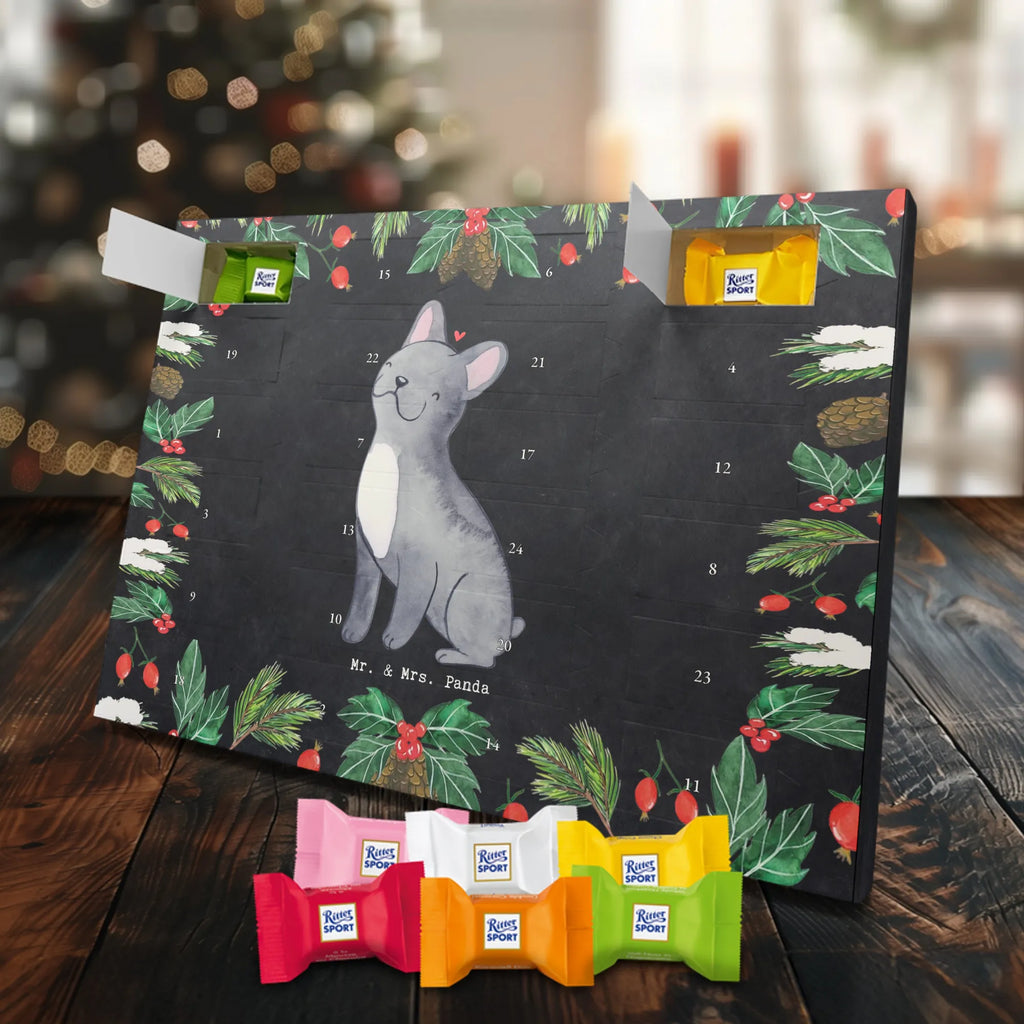 Schokoladen Adventskalender Französische Bulldogge Moment schokokalender, adventskalender mit pralinen, Adventskalender Schokolade, adventskalender pralinen, schoko kalender, Schoko Adventskalender, weihnachtskalender schoko, pralinen adventskalender, adventskalender mit süßigkeiten, adventskalender süßigkeiten, adventskalender mit schokolade, Schokoladen Adventskalender, schoko weihnachtskalender, süßigkeiten kalender, schokoladen kalender, kalender schokolade, schokoladenkalender, schokolade adventskalender, Weihnachtskalender Schokolade, advent kalender, Weihnachtskalender, Adventskalender, süßigkeiten adventskalender, Welpe, Tierfreund, Hundebesitzer, Rassehund, Hunderasse, Hund, Schenken, Geschenk, Französische Bulldogge