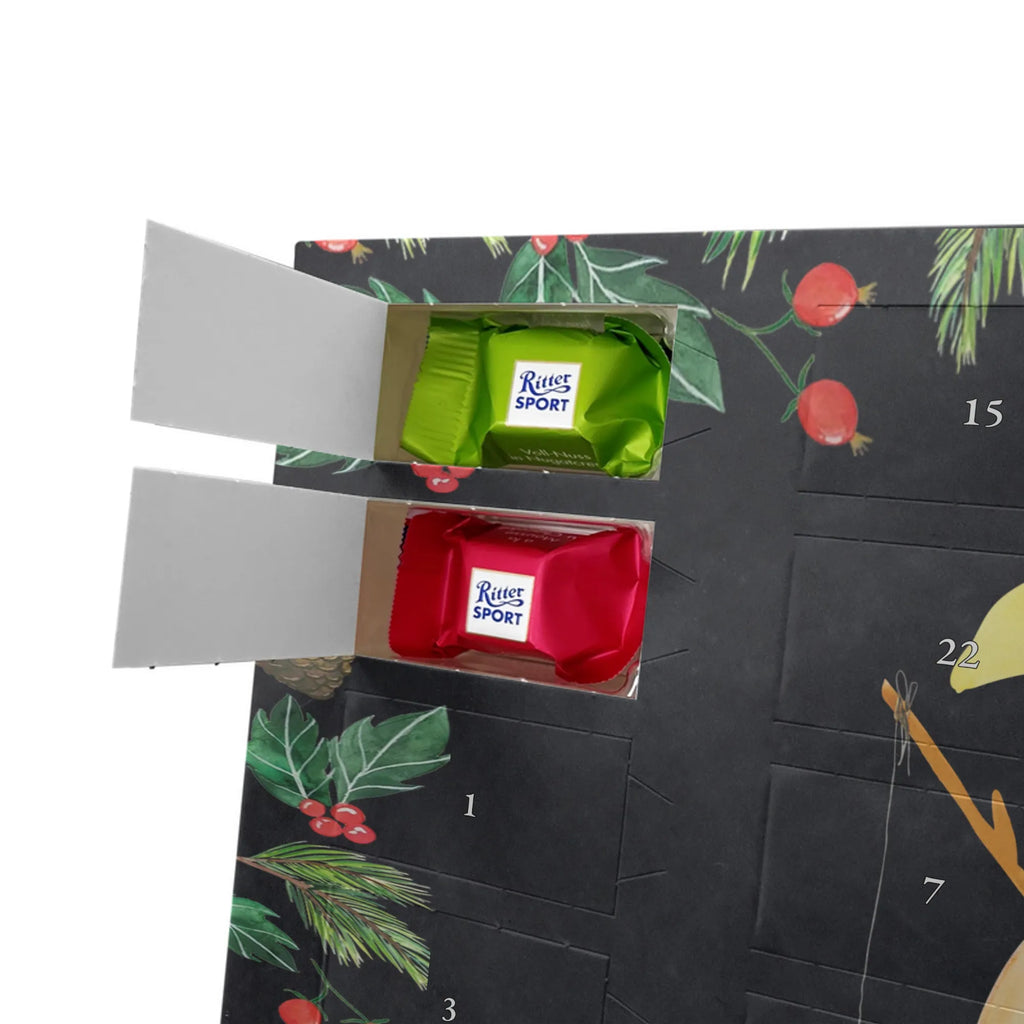  pingwin księżyc Pinguin