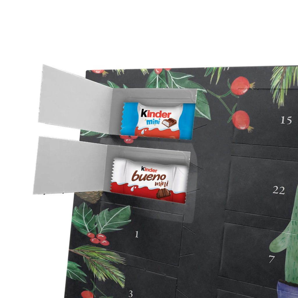 Chocolate advent calendar cactus Love cactus, cactuses, plants, small green cactus, cactus plant, couple, friendship, reconciliation, cactus love, proof of love, quarrel, love message, separation, wedding