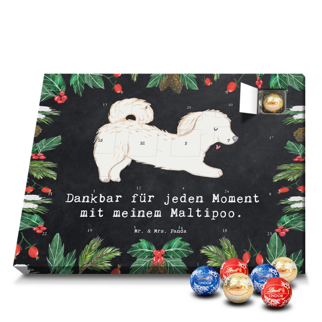 Adventskalender Maltipoo Moment weihnachtskalender schoko, adventskalender süßigkeiten, pralinen adventskalender, schokoladen kalender, Adventskalender, schoko weihnachtskalender, schokokalender, adventskalender mit schokolade, schokolade adventskalender, adventskalender mit pralinen, Weihnachtskalender Schokolade, Weihnachtskalender, adventskalender pralinen, Schokoladen Adventskalender, kalender schokolade, schoko kalender, Adventskalender Schokolade, advent kalender, Schoko Adventskalender, süßigkeiten adventskalender, adventskalender mit süßigkeiten, süßigkeiten kalender, schokoladenkalender, Welpe, Tierfreund, Hundebesitzer, Rassehund, Hunderasse, Hund, Schenken, Geschenk, Kreuzung, Maltipoo, Mischling