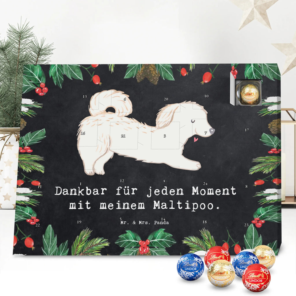 Adventskalender Maltipoo Moment weihnachtskalender schoko, adventskalender süßigkeiten, pralinen adventskalender, schokoladen kalender, Adventskalender, schoko weihnachtskalender, schokokalender, adventskalender mit schokolade, schokolade adventskalender, adventskalender mit pralinen, Weihnachtskalender Schokolade, Weihnachtskalender, adventskalender pralinen, Schokoladen Adventskalender, kalender schokolade, schoko kalender, Adventskalender Schokolade, advent kalender, Schoko Adventskalender, süßigkeiten adventskalender, adventskalender mit süßigkeiten, süßigkeiten kalender, schokoladenkalender, Welpe, Tierfreund, Hundebesitzer, Rassehund, Hunderasse, Hund, Schenken, Geschenk, Kreuzung, Maltipoo, Mischling