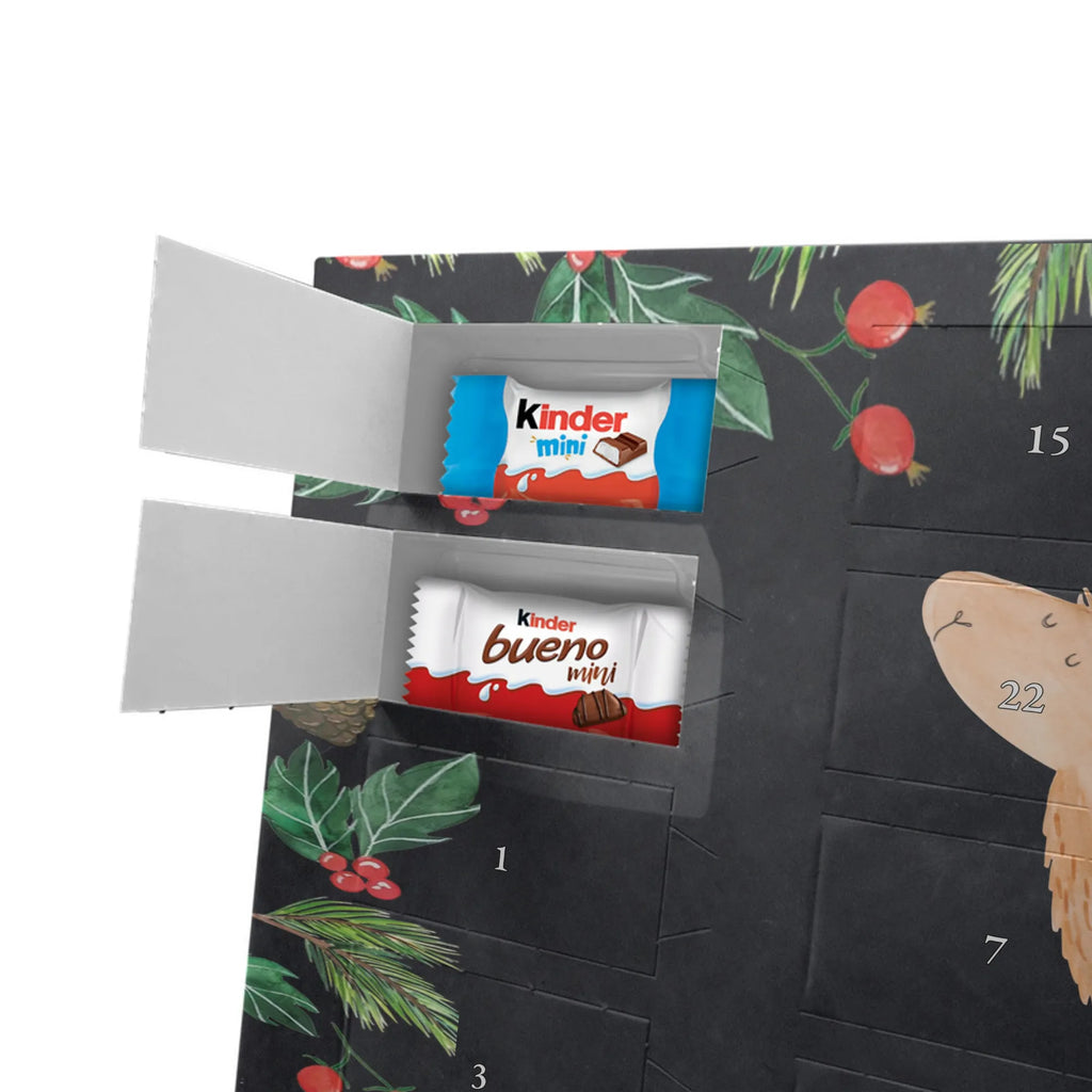 Chocolate advent calendar lama rainbow Llama, alpaca, trendy animal, Freedom, Cloud country, Outsider, School, Rainbow, Self-employed