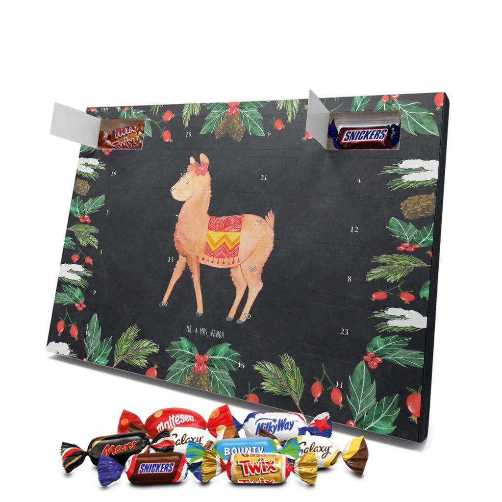  alpaka Dumny Alpaka, Lama