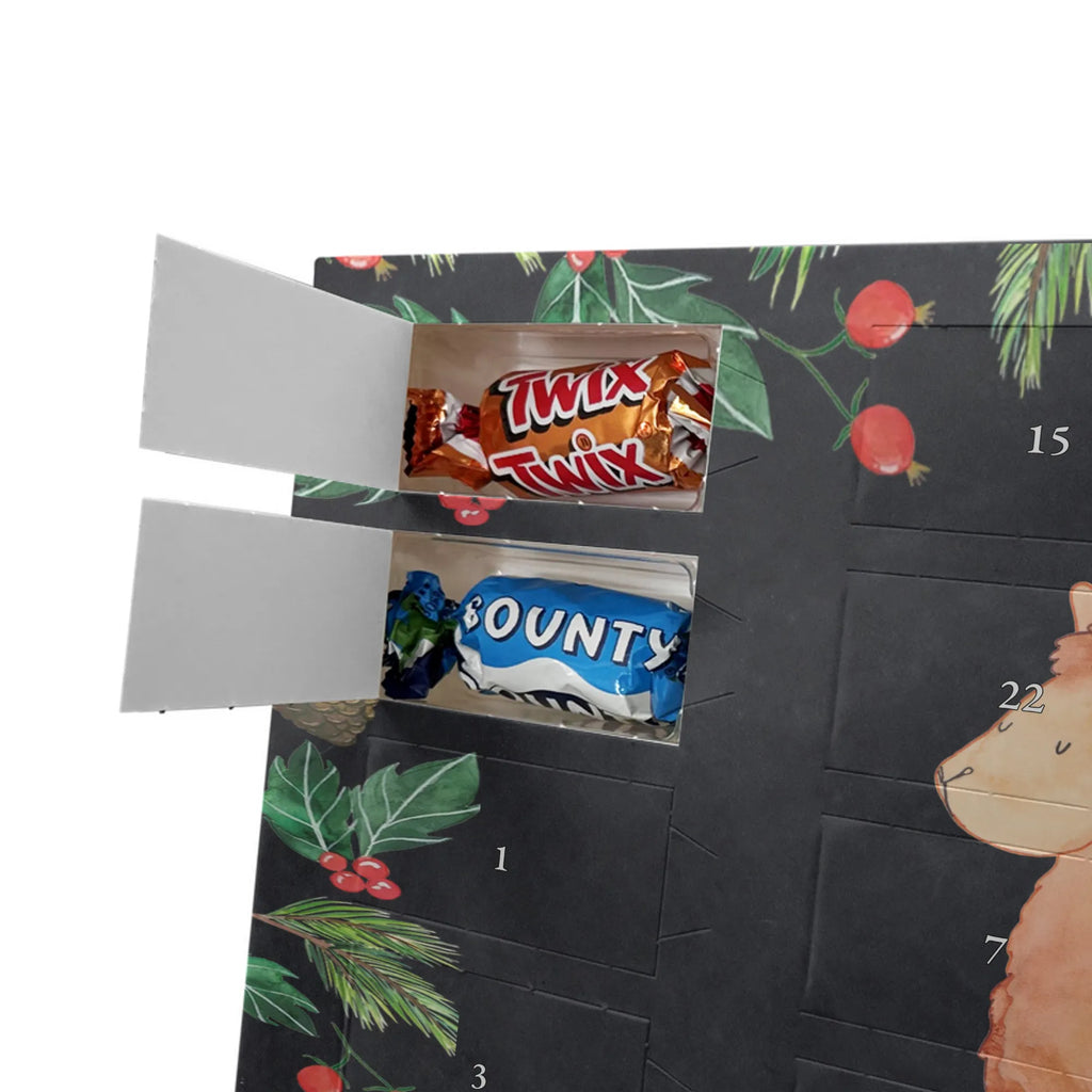 Chocolate advent calendar alpaca Proud pako, camel, llama, animal, alpaca, favourite animal, Peru