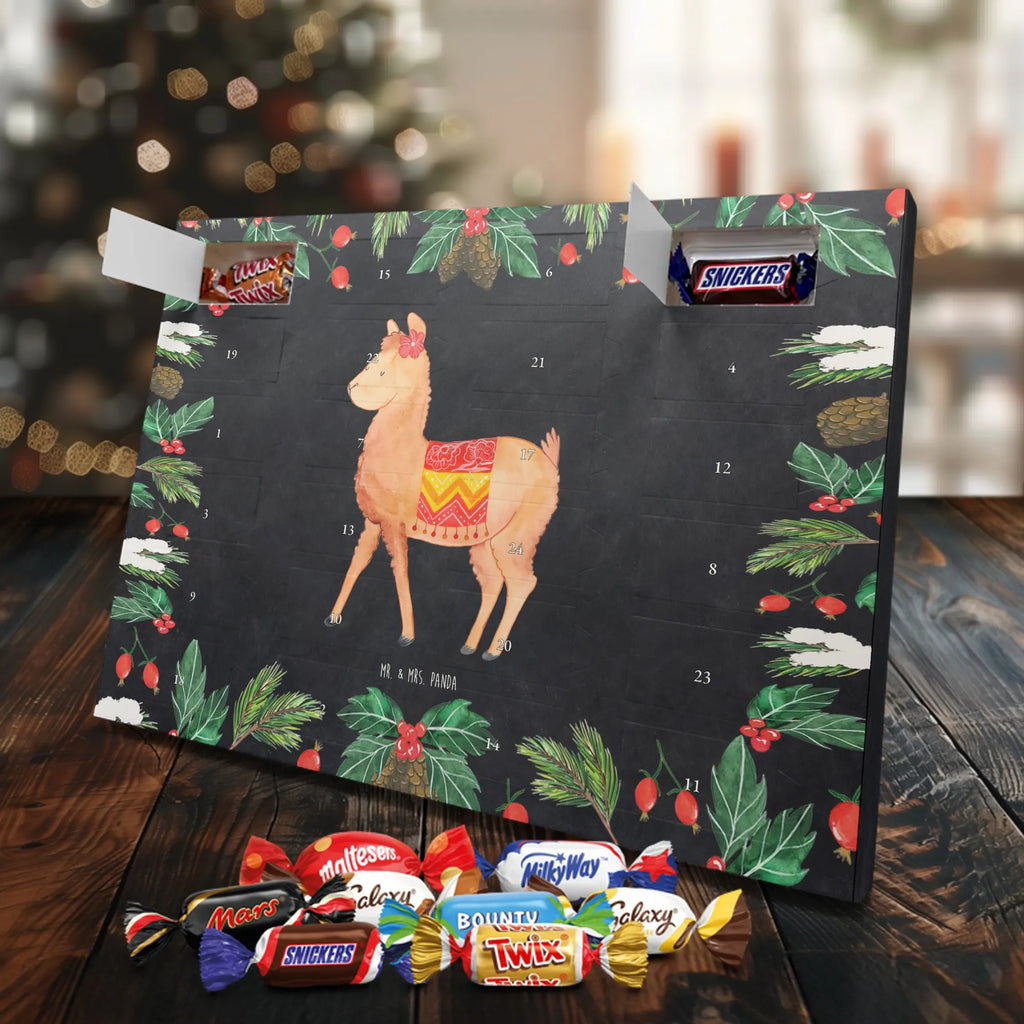  alpaka Dumny Alpaka, Lama