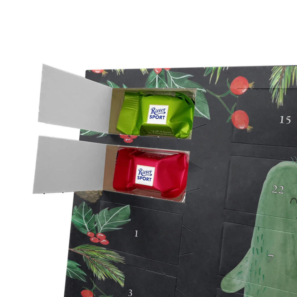 Chocolate advent calendar cactus Love cactus, cactuses, plants, small green cactus, cactus plant, couple, friendship, reconciliation, cactus love, proof of love, quarrel, love message, separation, wedding