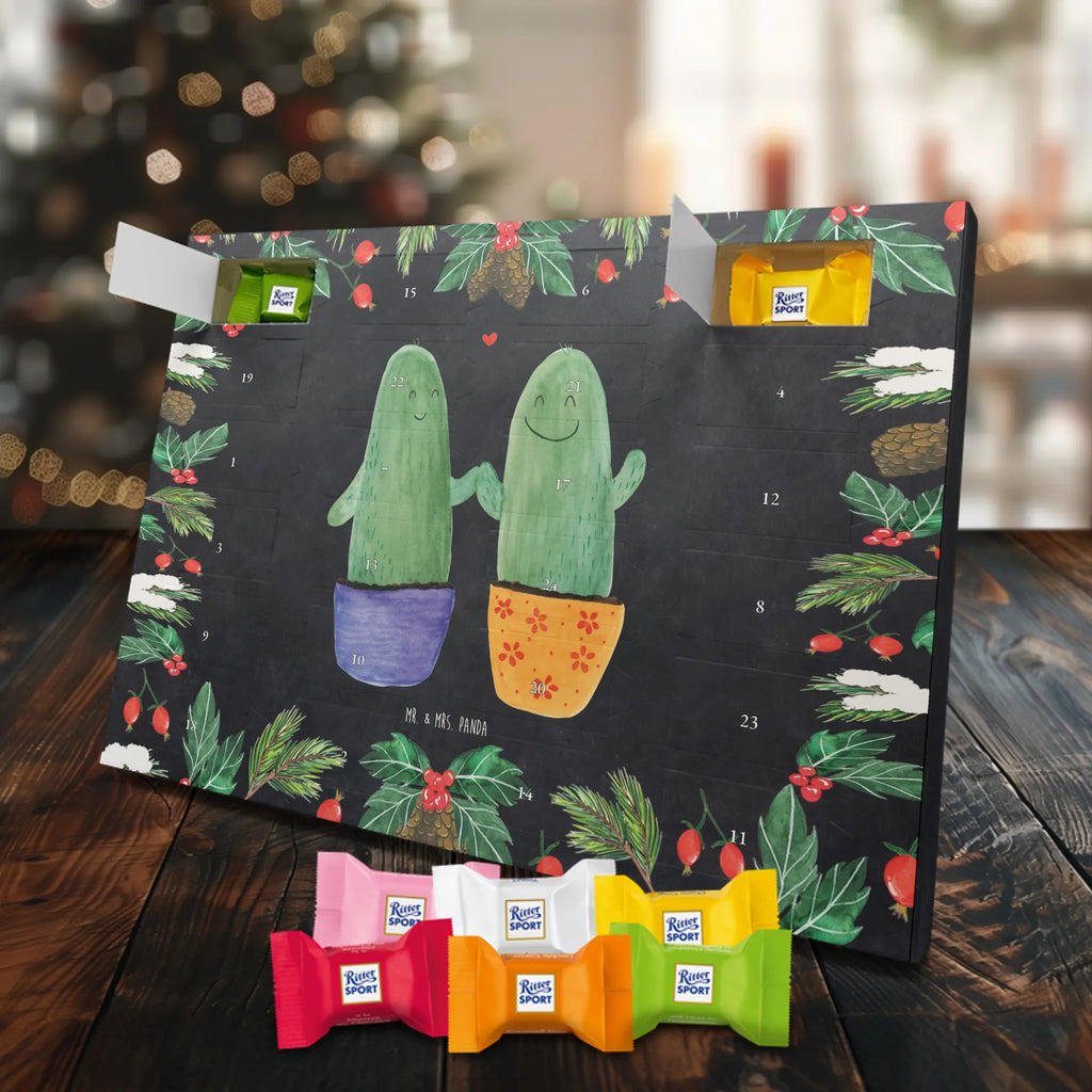 Chocolate advent calendar cactus Love cactus, cactuses, plants, small green cactus, cactus plant, couple, friendship, reconciliation, cactus love, proof of love, quarrel, love message, separation, wedding