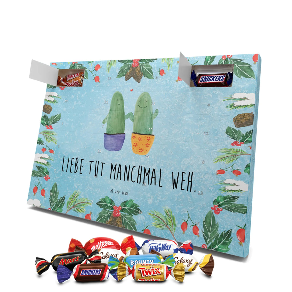Chocolate advent calendar cactus Love cactus, cactuses, plants, small green cactus, cactus plant, couple, friendship, reconciliation, cactus love, proof of love, quarrel, love message, separation, wedding