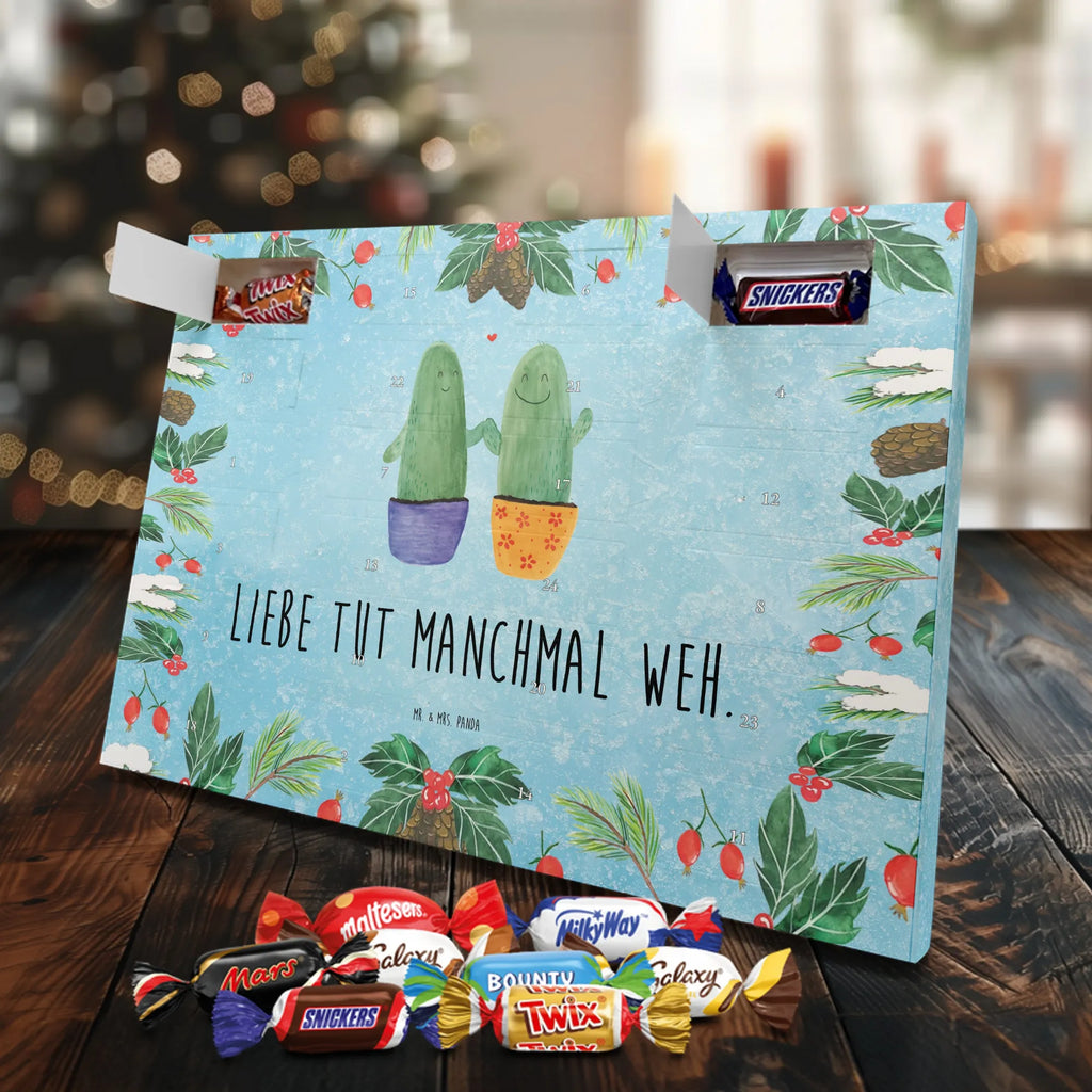 Chocolate advent calendar cactus Love cactus, cactuses, plants, small green cactus, cactus plant, couple, friendship, reconciliation, cactus love, proof of love, quarrel, love message, separation, wedding